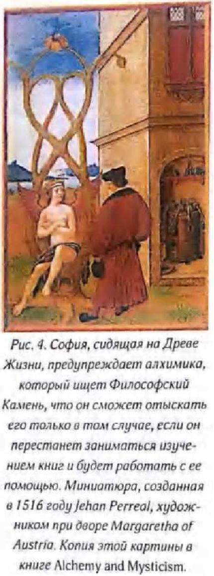 с3.jpg
