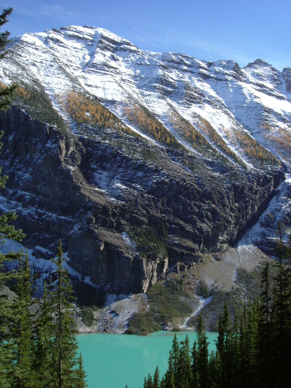 115_Lake_Louise_from_trail_to_Lake_Agnes.JPG