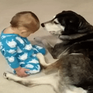1462536575_prikol-5.gif