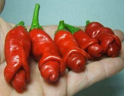 16-pepper.jpg