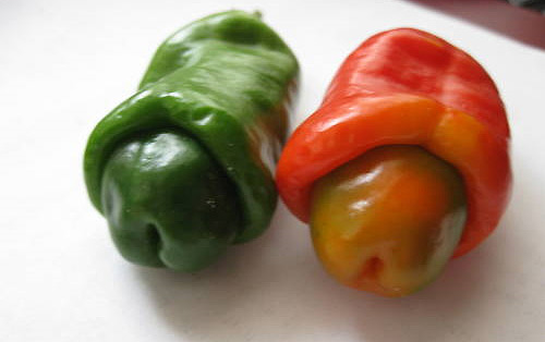 17-pepper.jpg