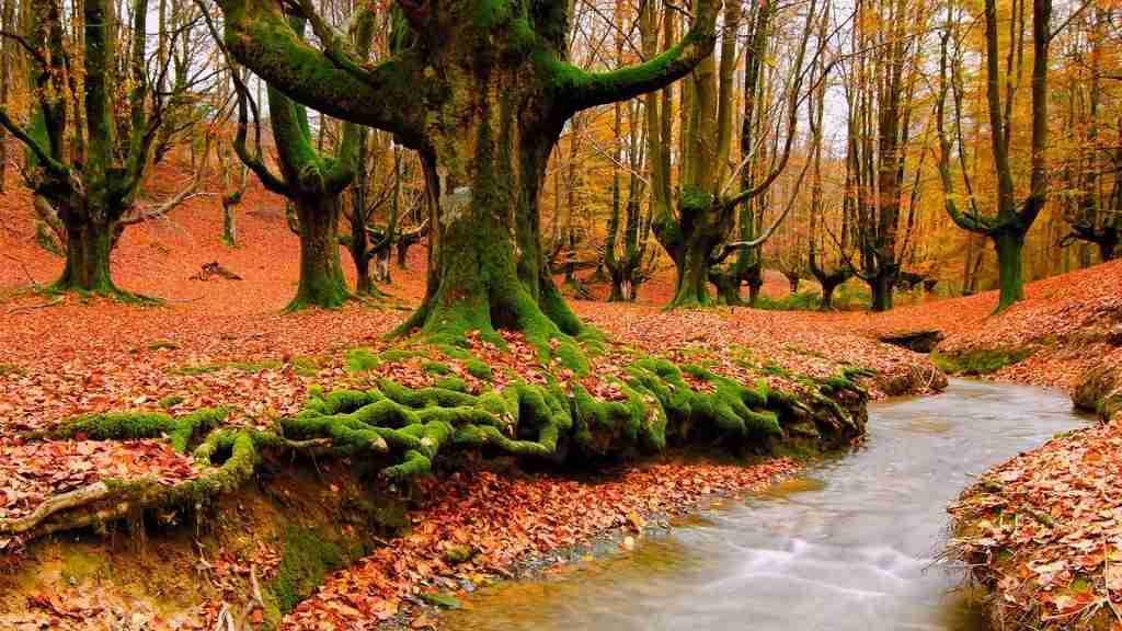 187-1879669_stream-wallpaper-nature-photography-hd-desktop-wallpapers-creeks.jpg