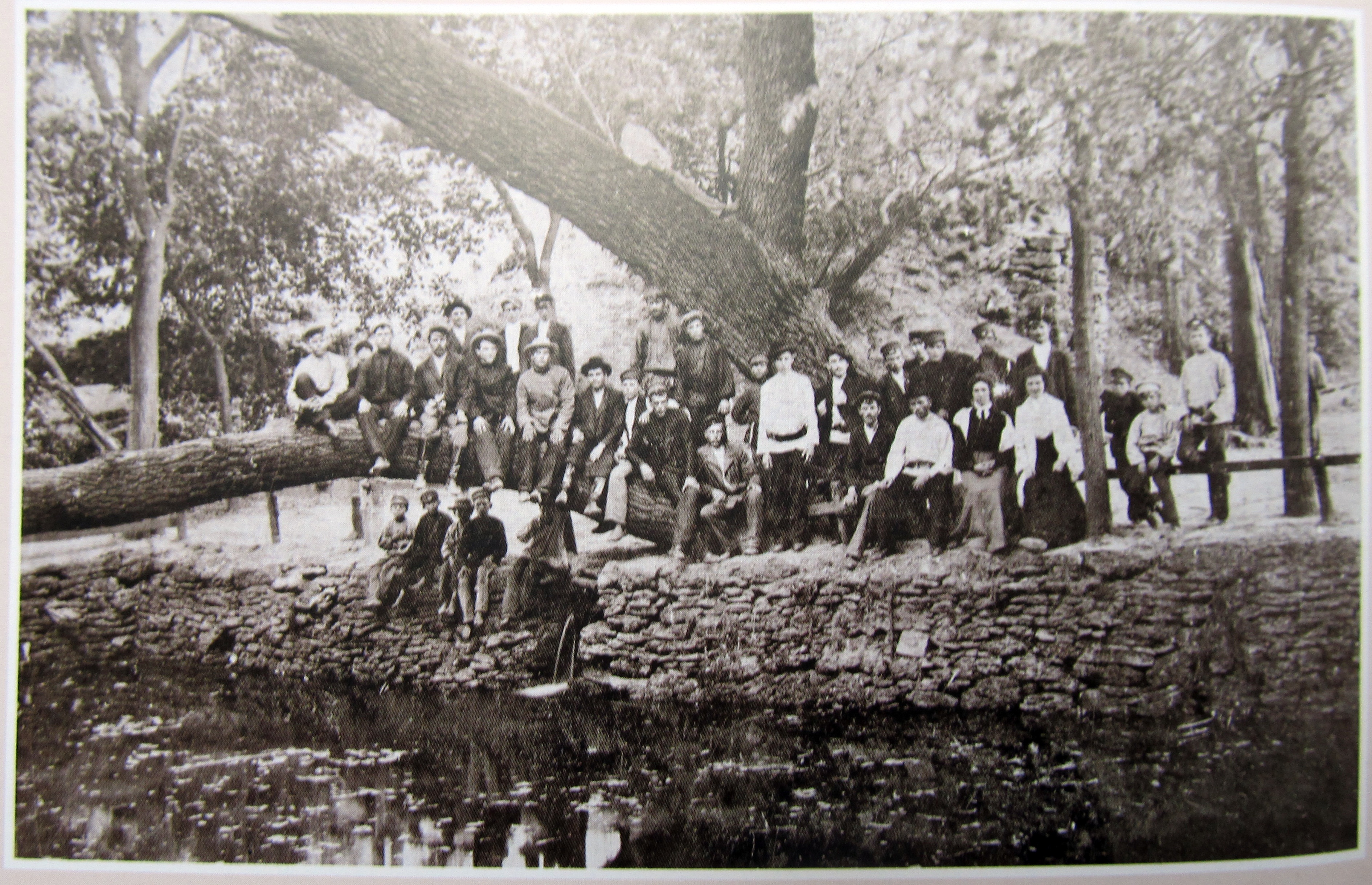 1905._Terpinnya_village._Garden_planted_by_the_first_settlers.jpg