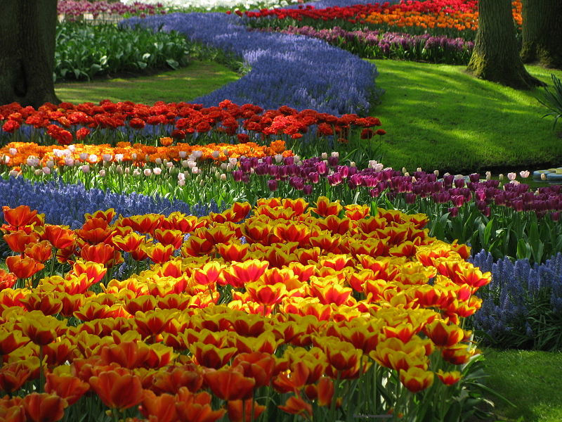 20-Of-The-Most-Beautiful-Nature-Made-And-Man-Made-Flower-Gardens-In-The-World-110.jpg