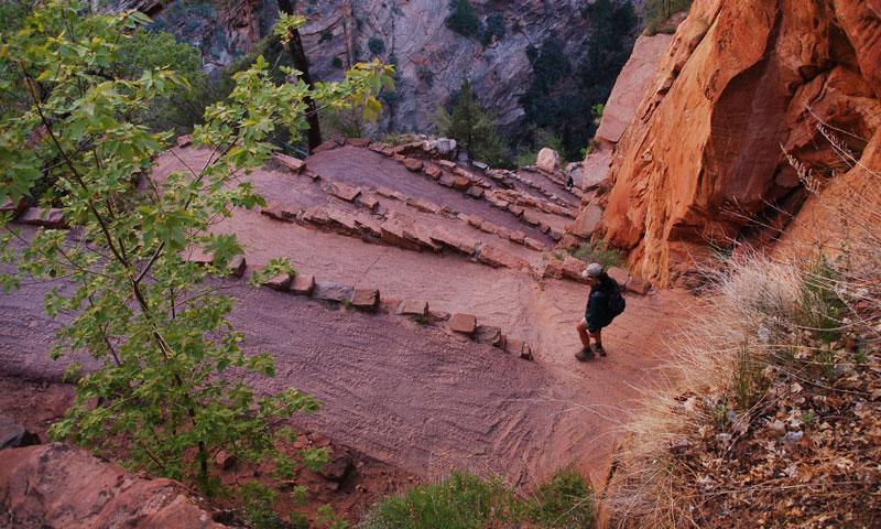 20102_12953_Walters_Wiggles_Zion_National_Park_lg.jpg