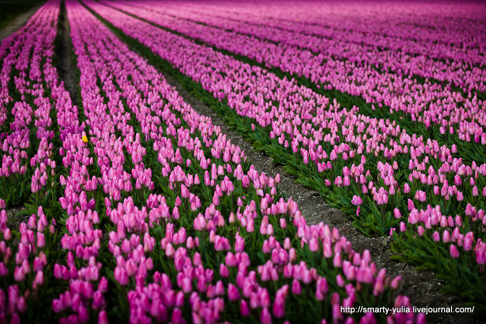 2012-04-16-Urk3of14.jpg