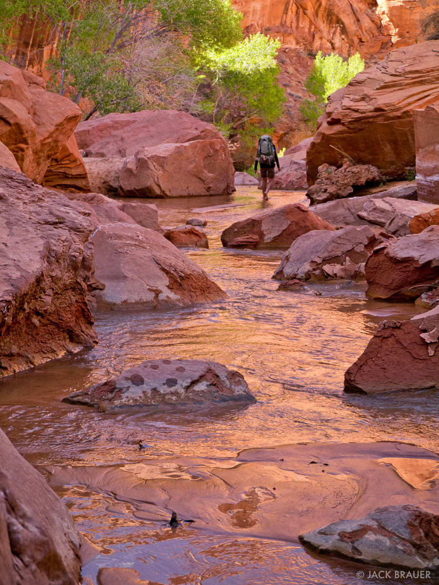 20120402-Hiking-in-Coyote-Gulch-3.jpg