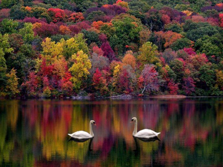 371042-nature-autumns-natural-beauty.jpg
