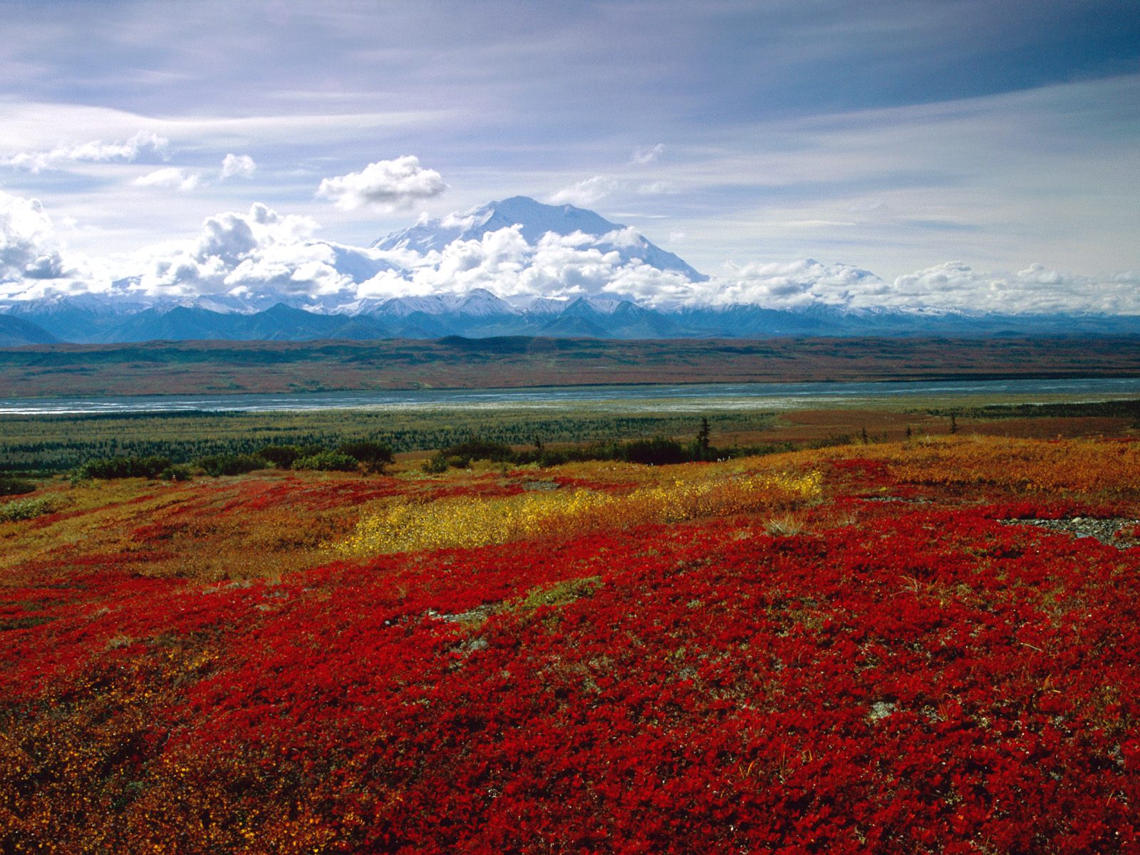 4225962-brilliant-colors-of-denali-national-park-alaska-normal.jpg