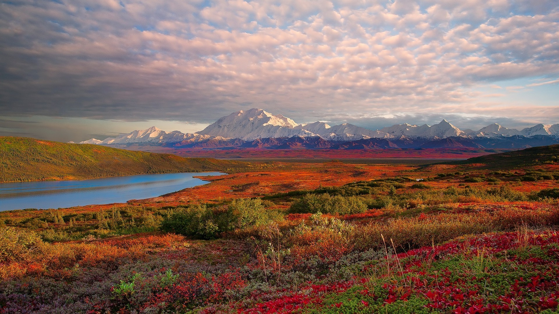 6894221-denali-national-park-hd.jpg