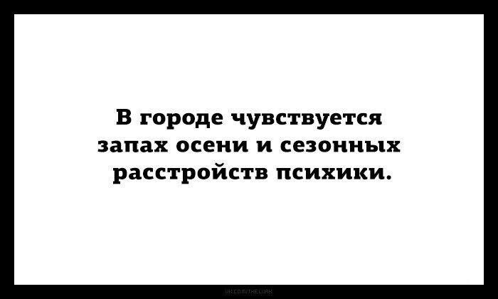 73370511_2584363621599412_7230077787795619840_n.jpg