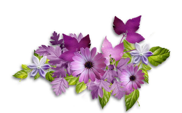 ab2dcc6b33a69406a63afbe13bd37766.jpg.png