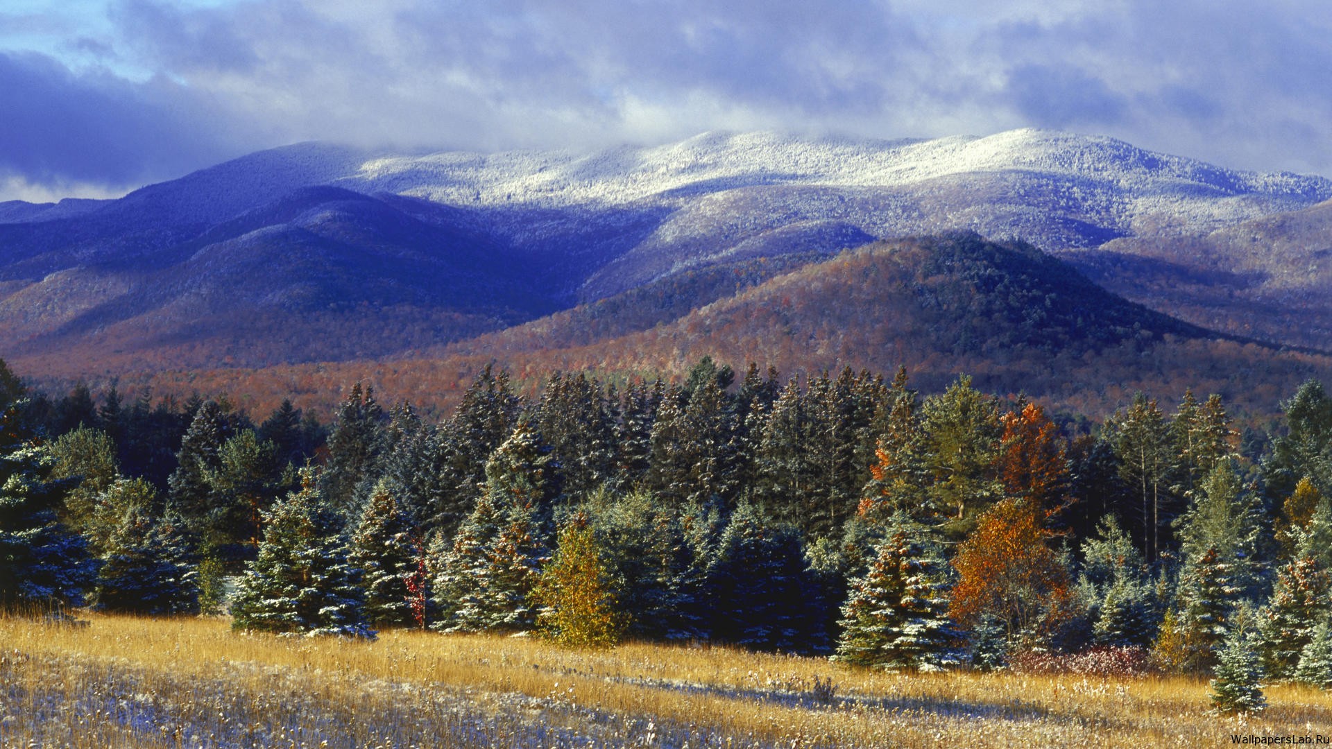 Adirondack-State-Park-Lake-Placid-New-York.jpg