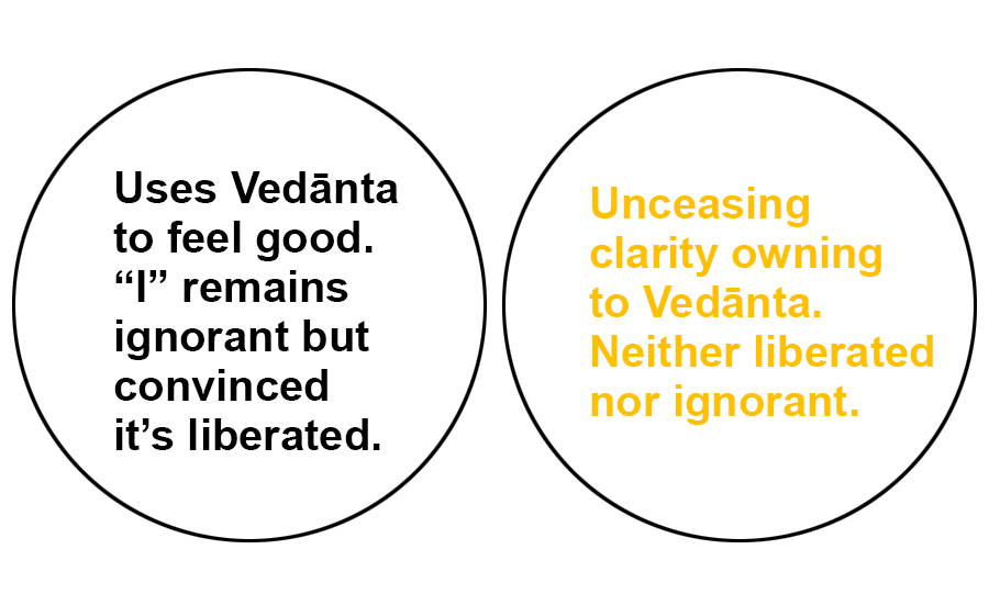 advaita-vedanta-knowing-understanding-intellectual-2.png