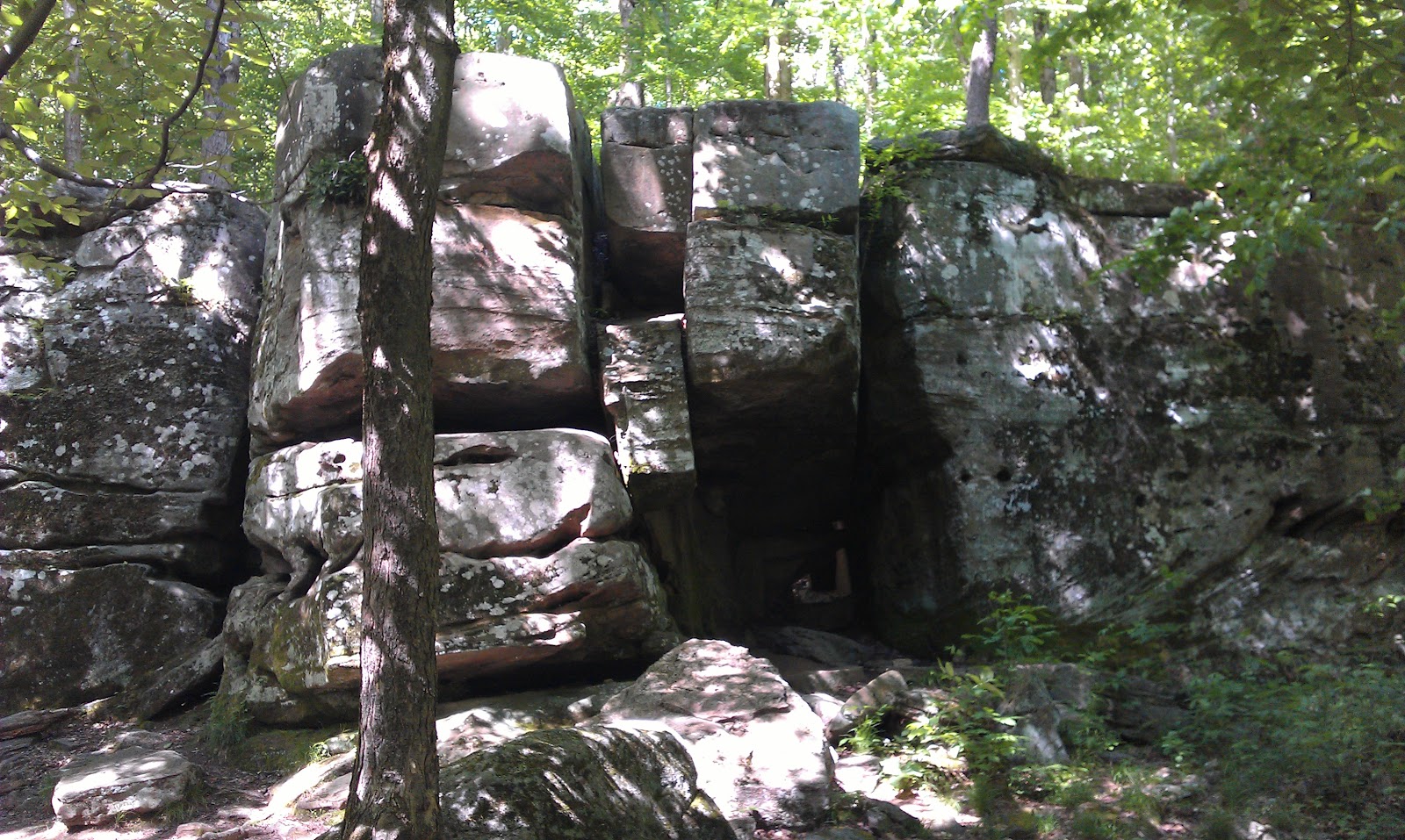 Allegany State Park, New York, 2012 - Bear Cave Trail III.jpg