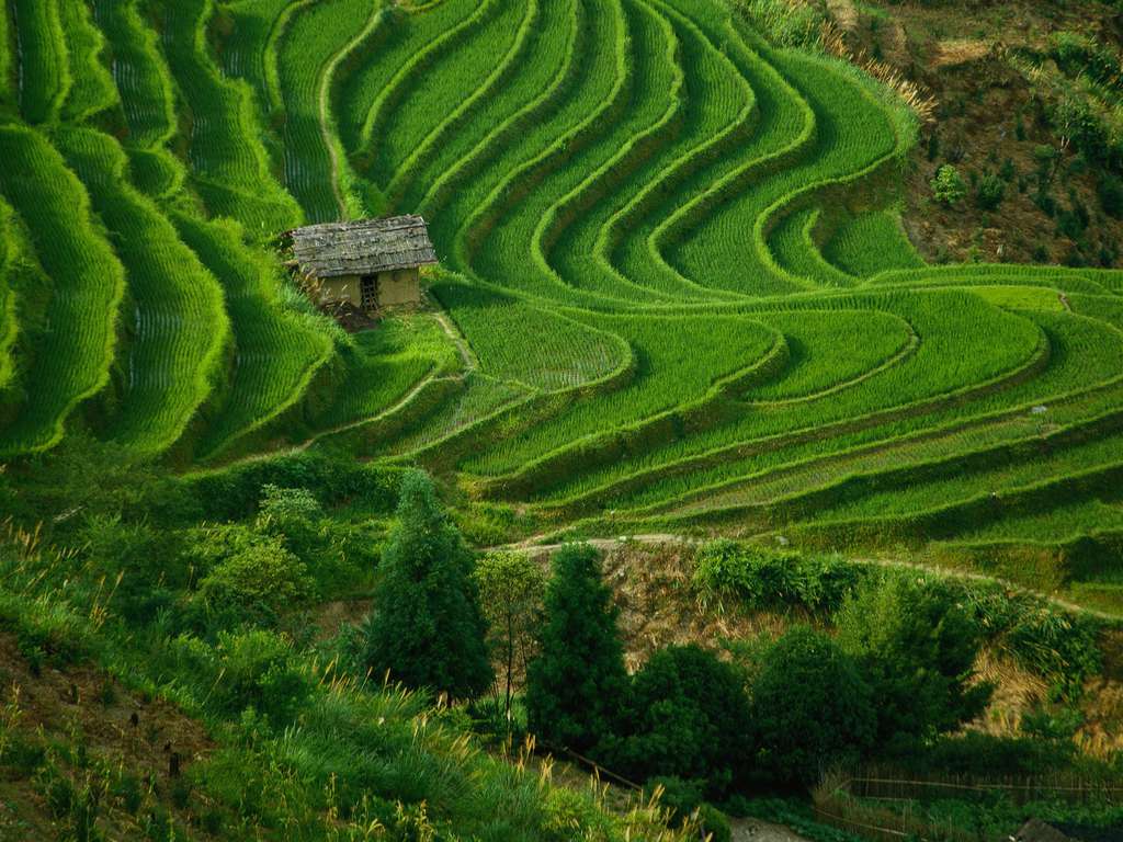 Amazing_Landscape_in_China_0947A.jpg