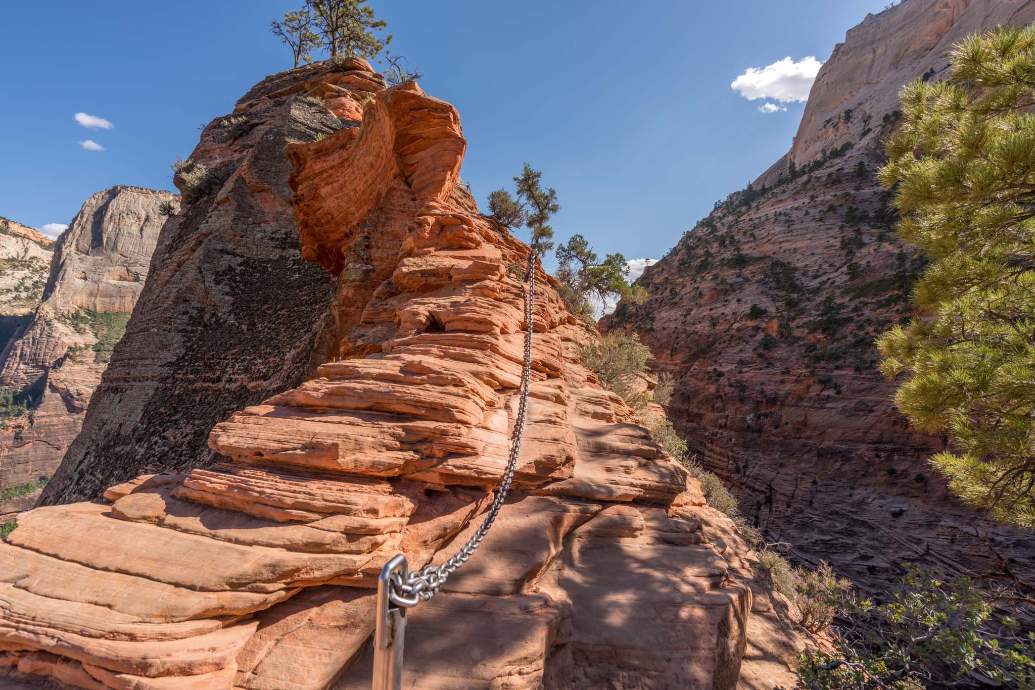 angels-landing-zion-national-park-16.jpeg