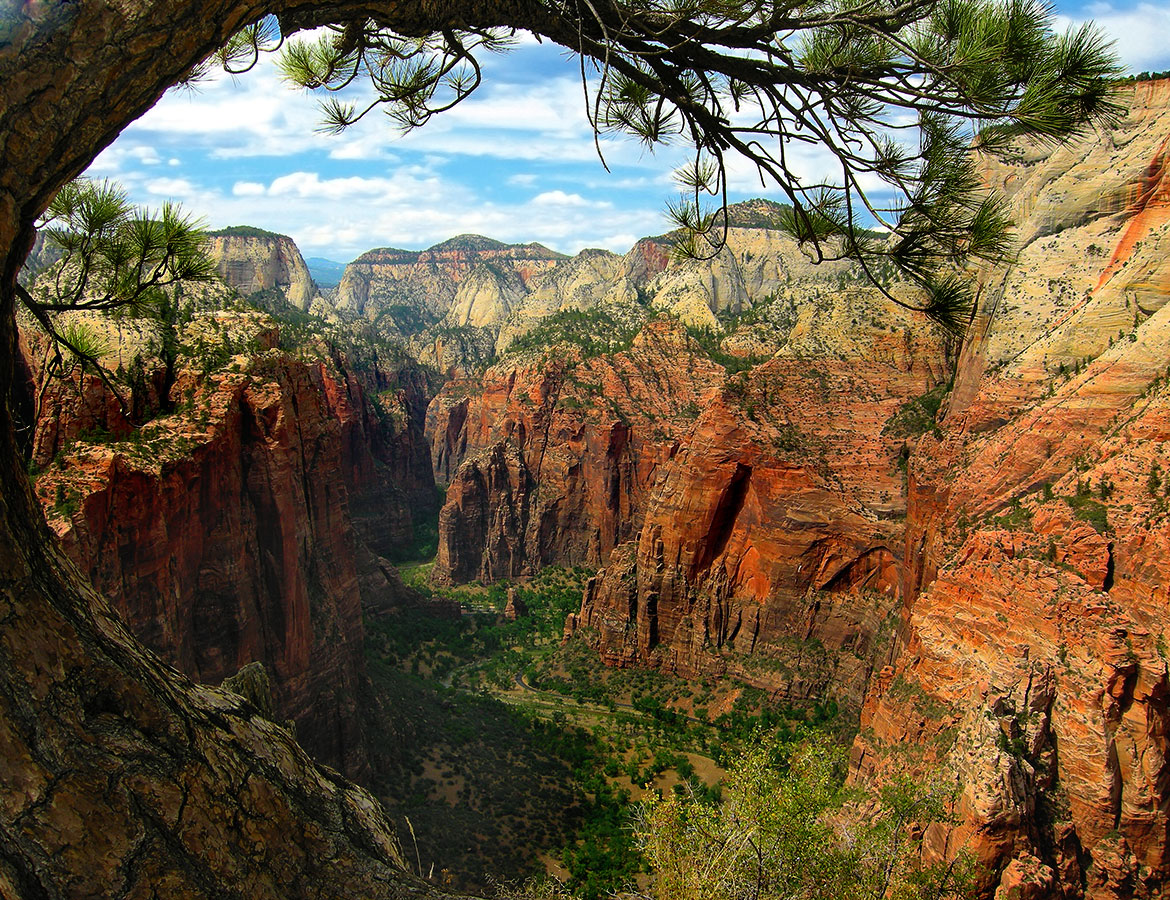 Angels_Landing2.jpg