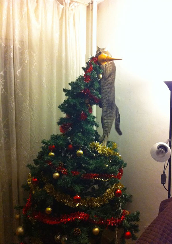 animals-destroying-christmas-cat-on-christmas-tree__605.jpg
