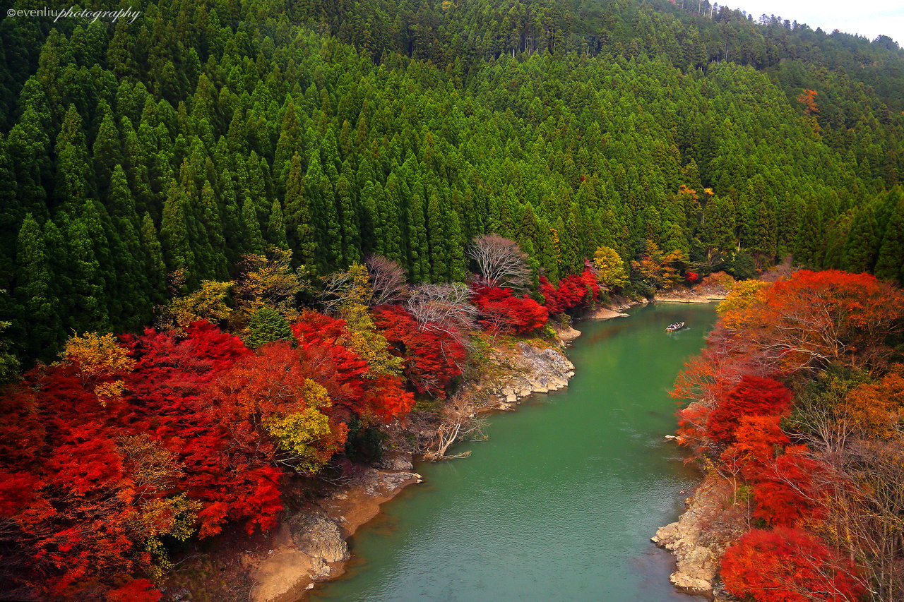 arashiyama_kyoto_by_evenliu-d5m7ygi.jpg