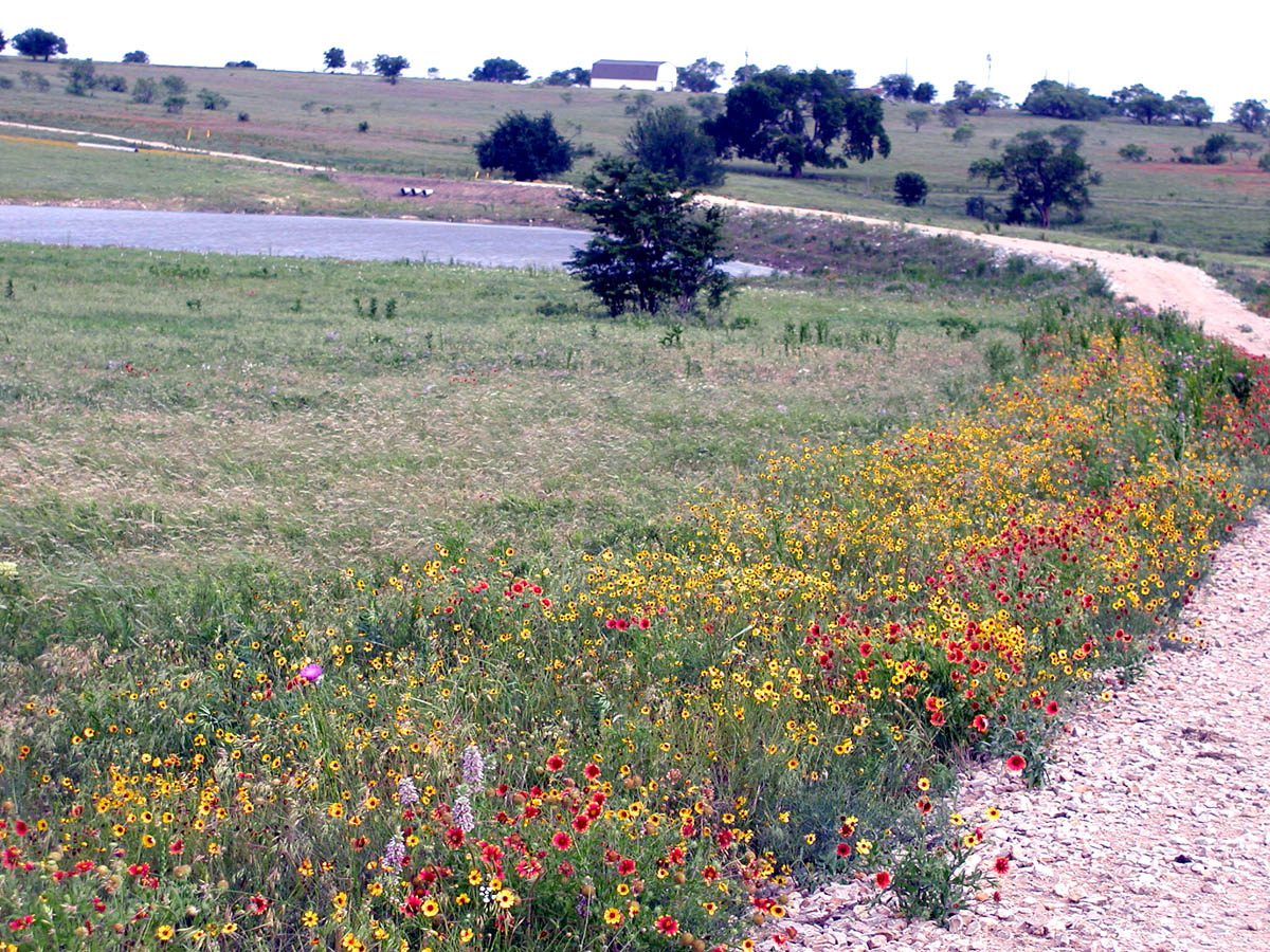 big-valley-drive-with-flowers-and-lake.jpg