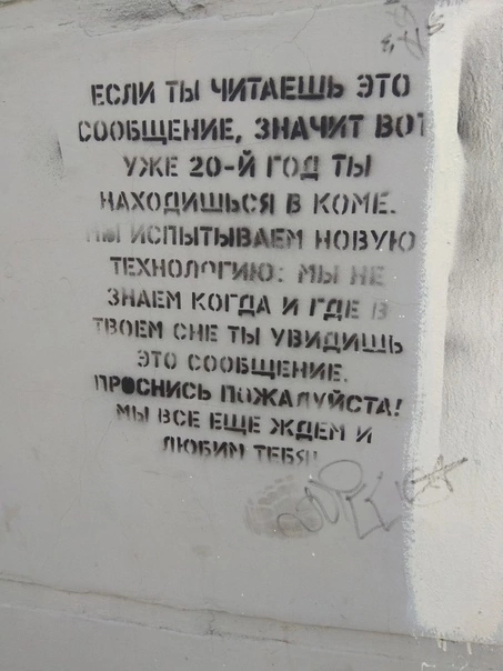 bjjkwl36.jpg