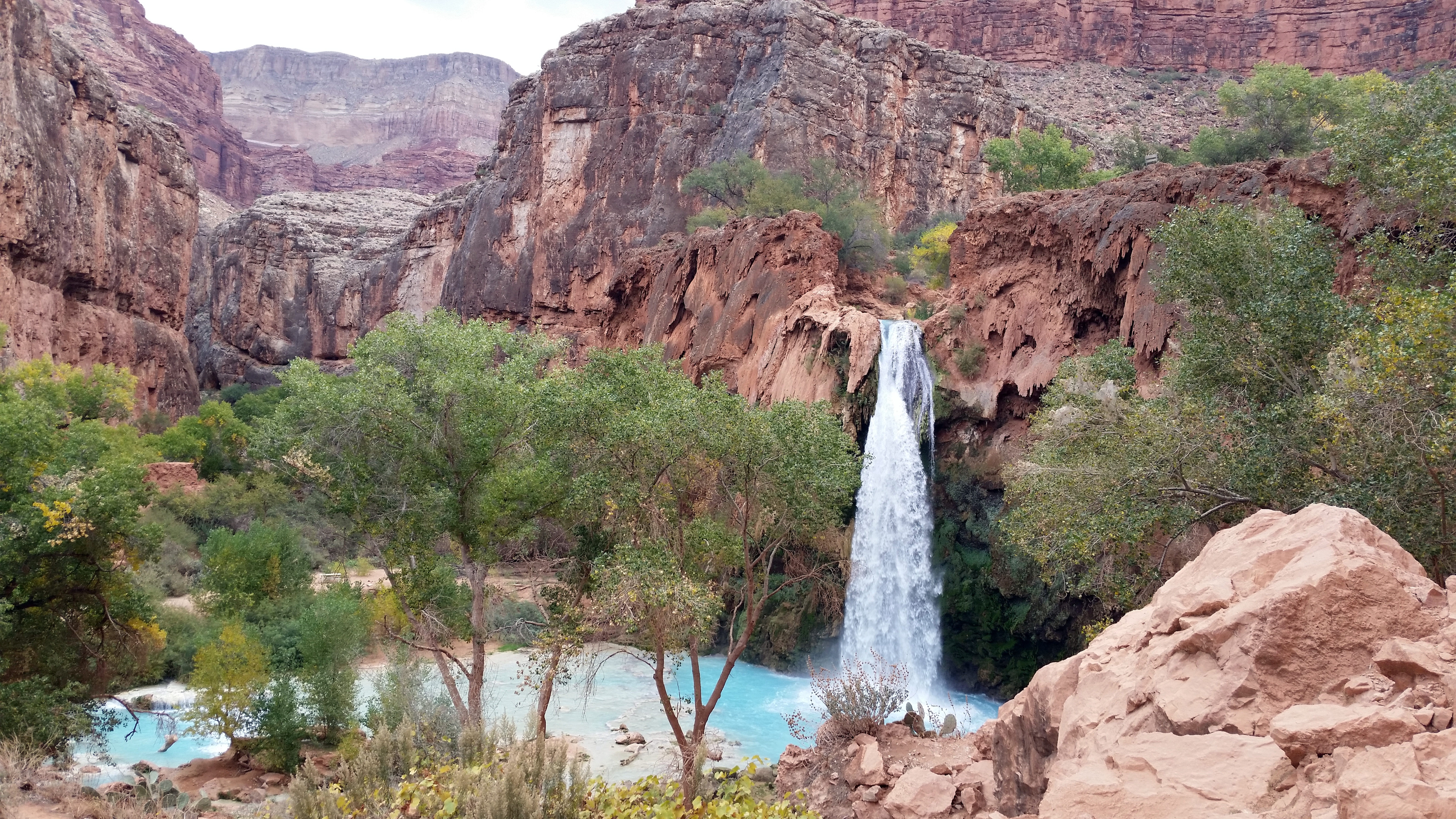 blog-havasu-falls-3.jpg