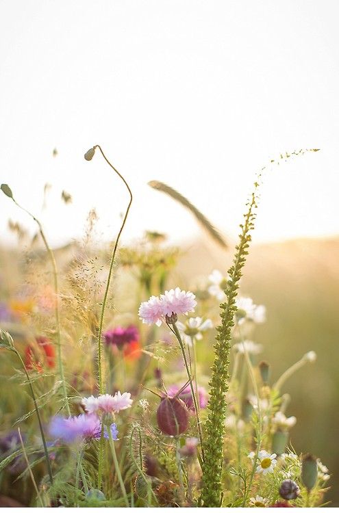 bouquet 1.jpg