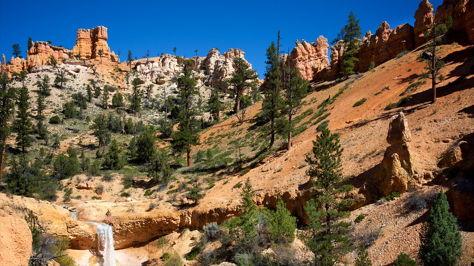 Bryce-Canyon-National-Park-171527.jpg