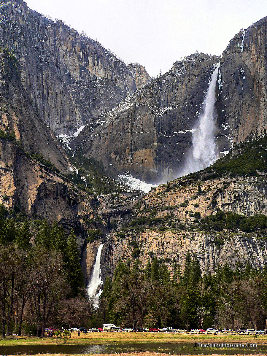 CA-YNP-YF-YM-Both-2011-P1110508-LRG.JPG