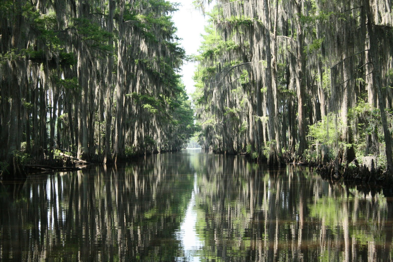 Caddo Lake 046.JPG