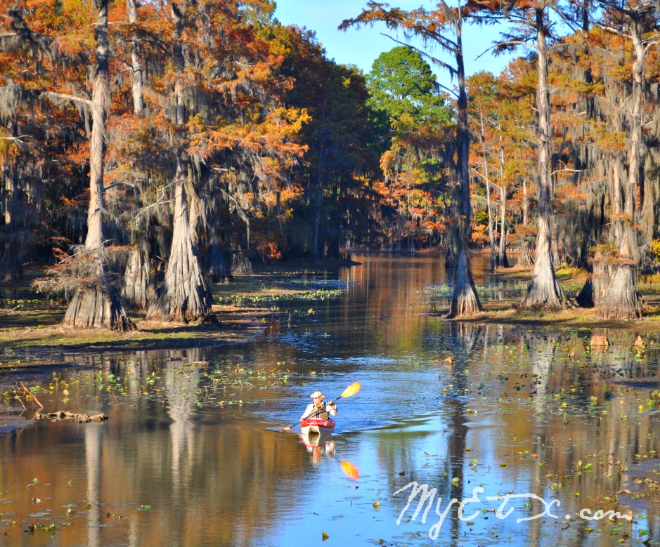 caddo-lake-canoe.jpg