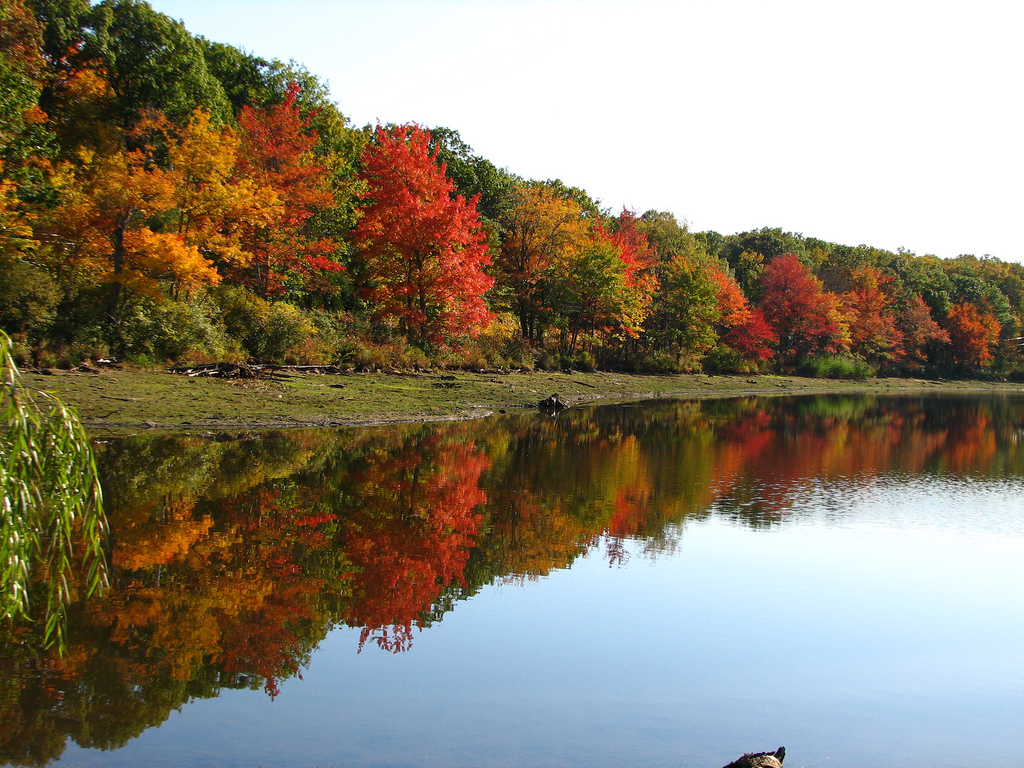 catskill_mountains__fall_2008.jpg