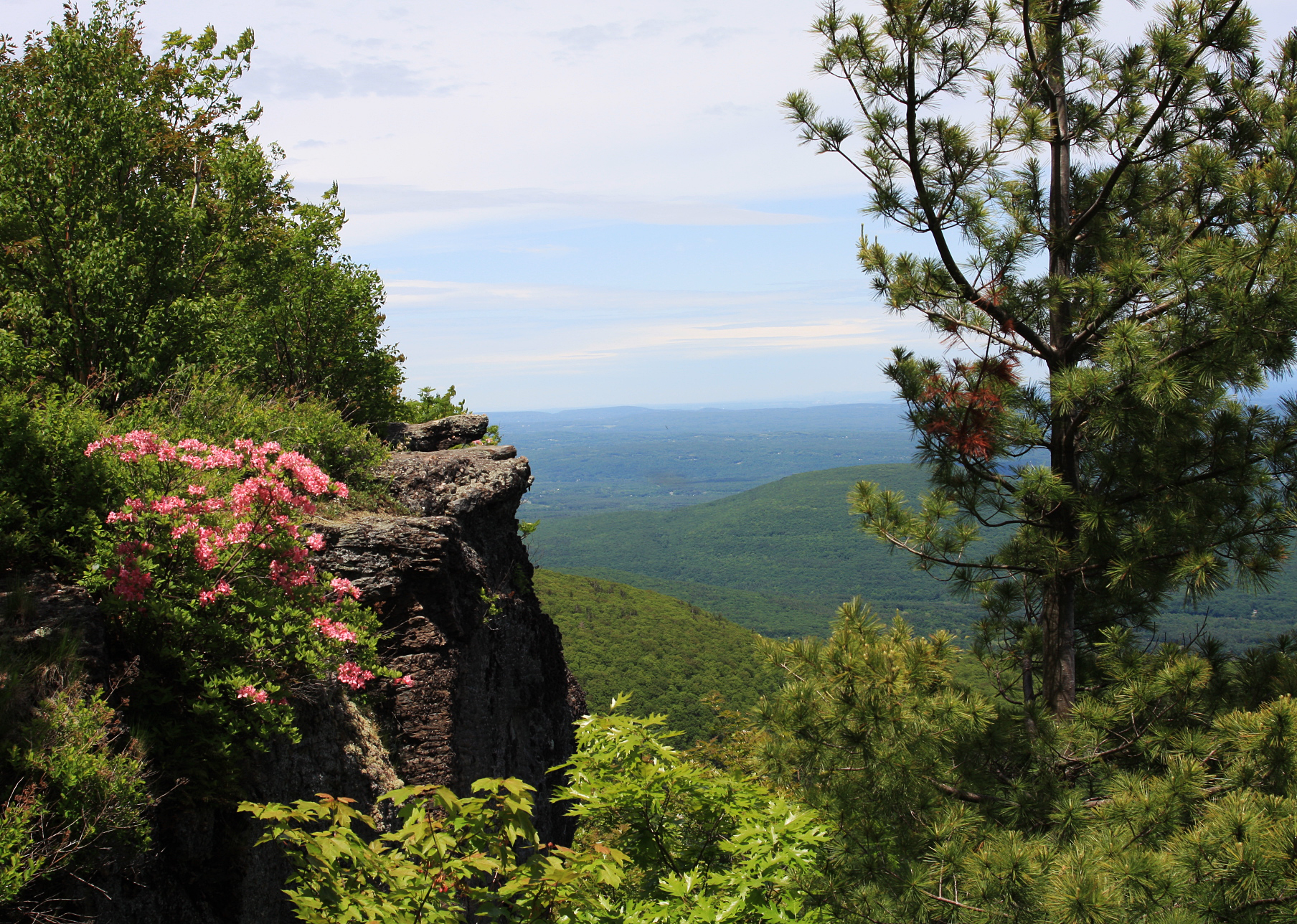 CatskillStateParkNYSouthMountainandNorthMountainLoop94050.jpeg