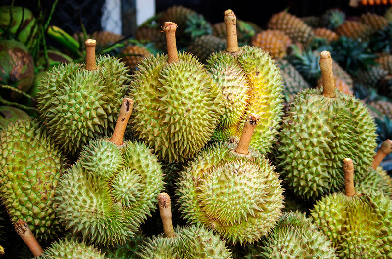 chem-polezen-durian-2.jpg