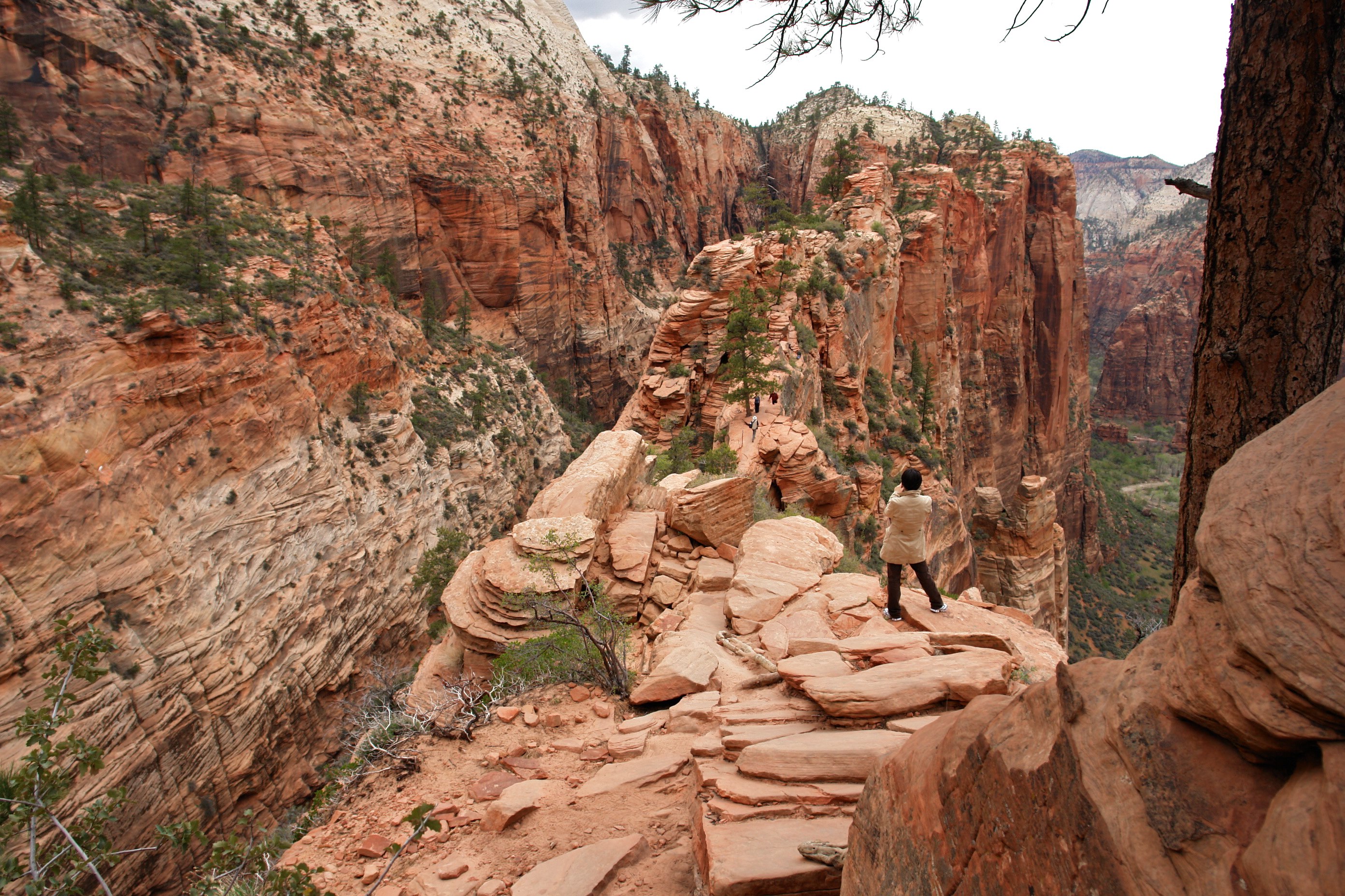 Climbing_up_to_Angels_Landing_(Zion_National_Park)_(3444016960).jpg