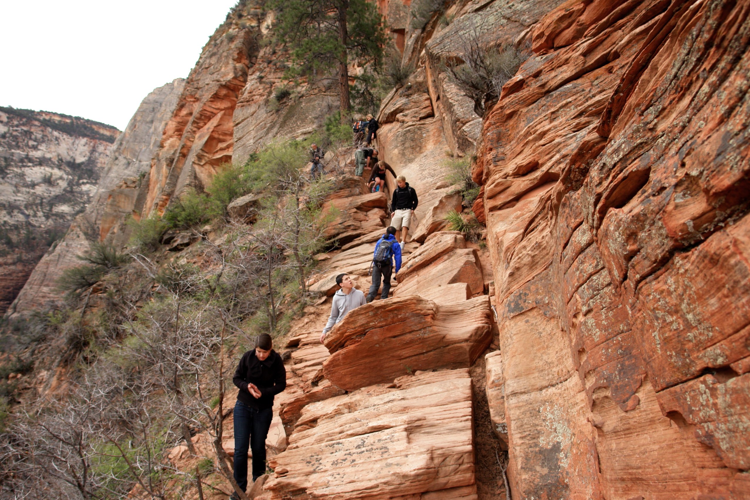 Climbing_up_to_Angels_Landing_Zion_National_Park_3443193731.jpg