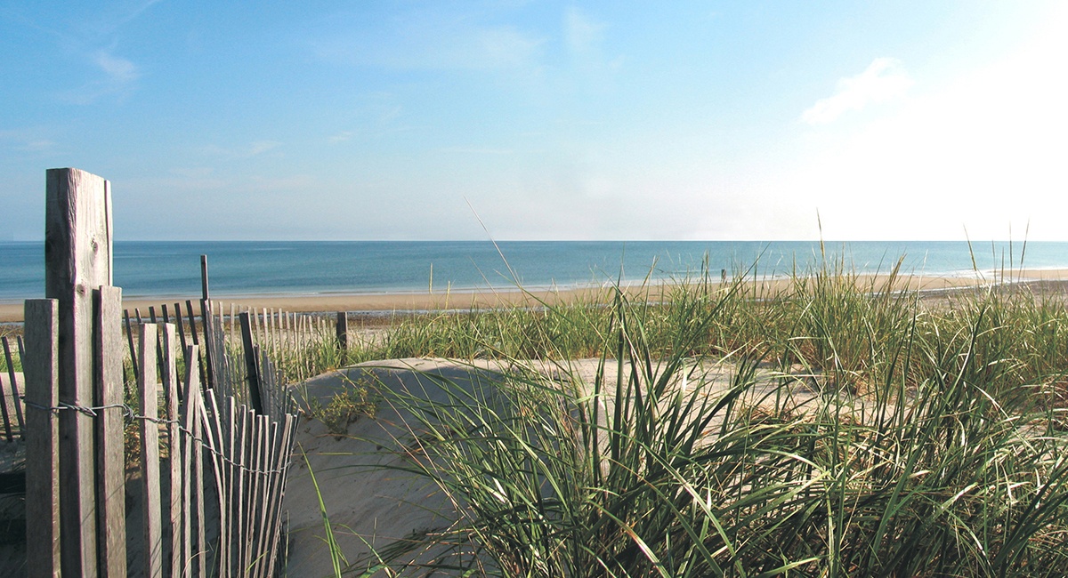 Coast-Guard-Beach-Cape-Cod-MA-Eastham-social.jpg