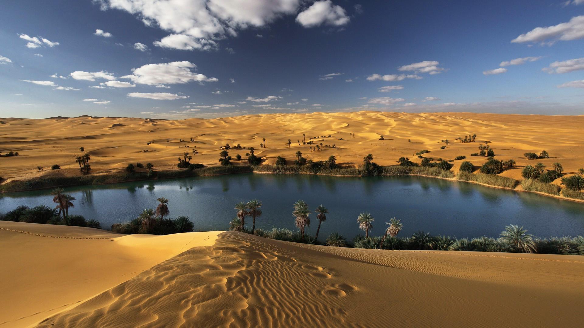 desert-oasis-water-landscape-cgi-3d-gallery.jpg