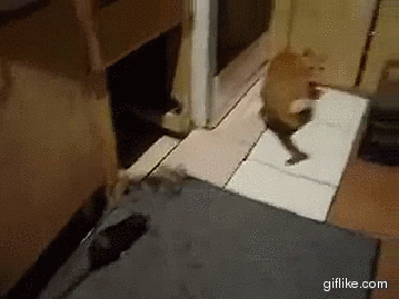 doc10600147_412151887.gif