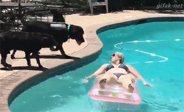 doc155140880_414004511.gif