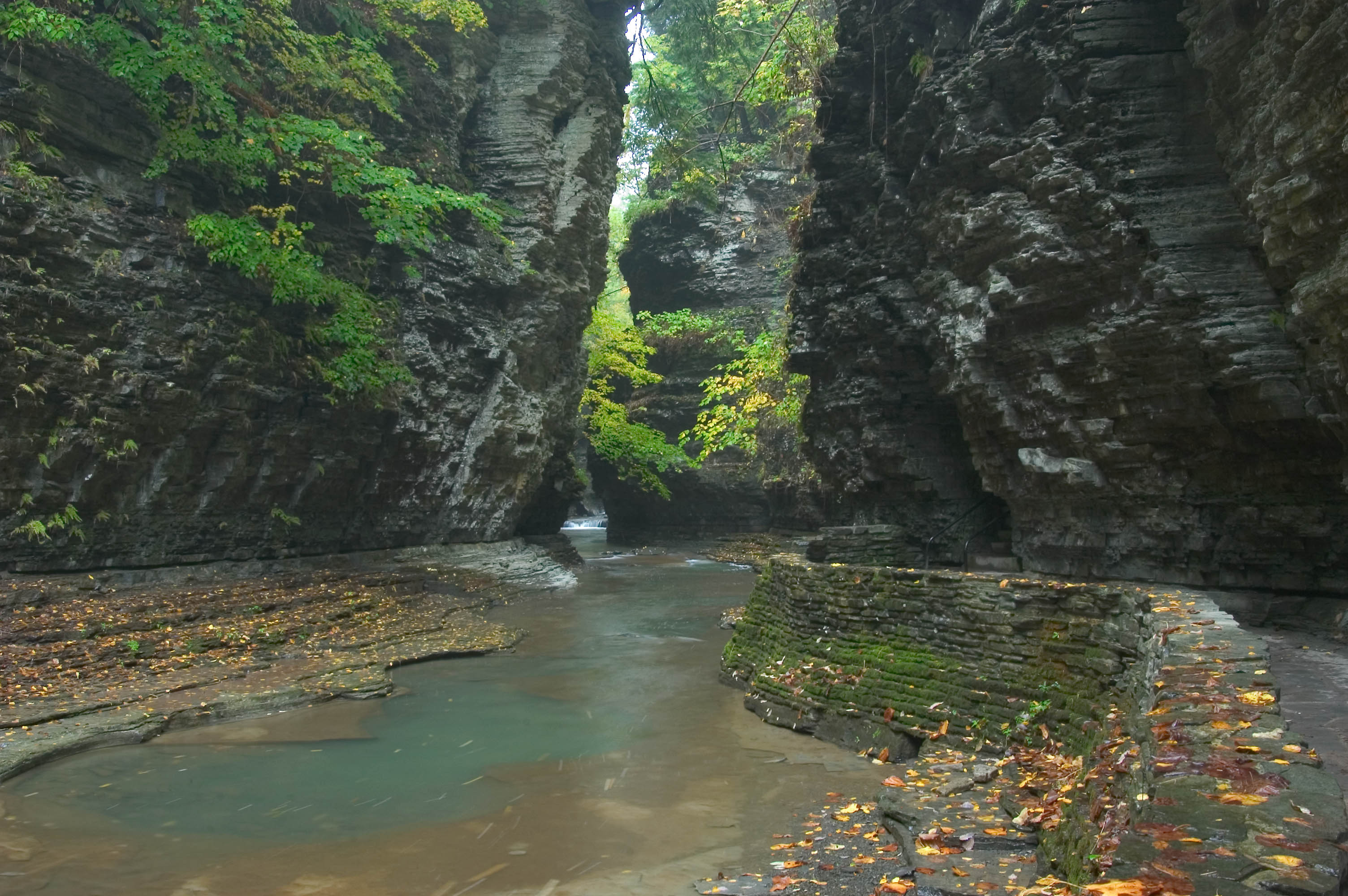 dryden_watkins_glen-gorge_trail_above_pool_the.jpg