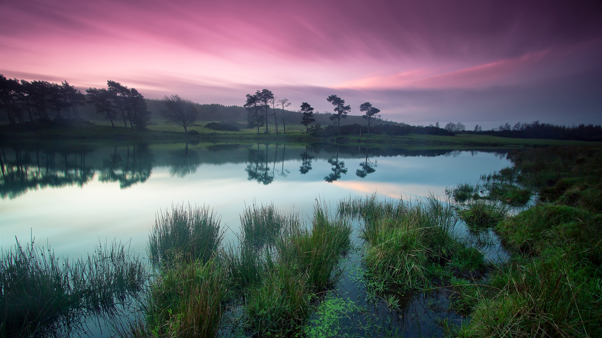 Dusk-beauty-tranquil-lakes-green-trees-purple-sky_1920x1080.jpg