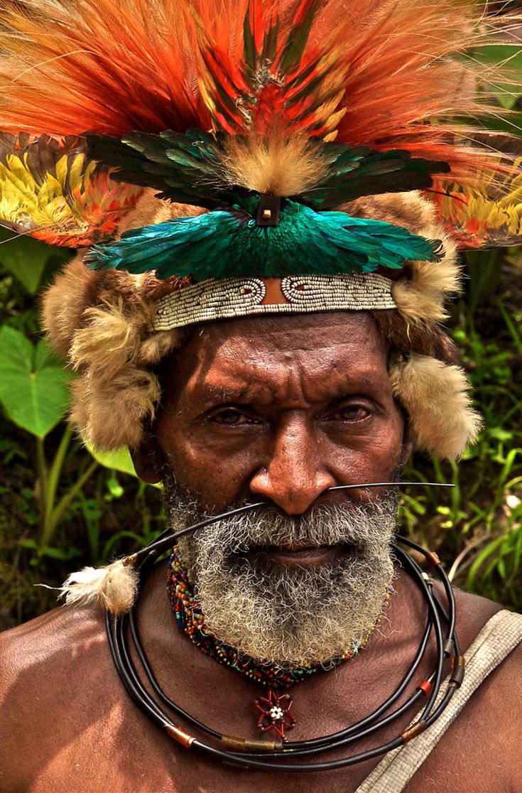 ecfb3976bc143203d126ed0e2bfb0be1--west-papua-cultural-diversity.jpg