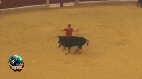 fd548866d0e9161dd9dd634d181f4ee4.gif