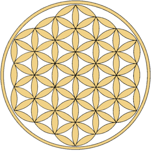 flower-of-life-symbol-big.dnQAY.gif