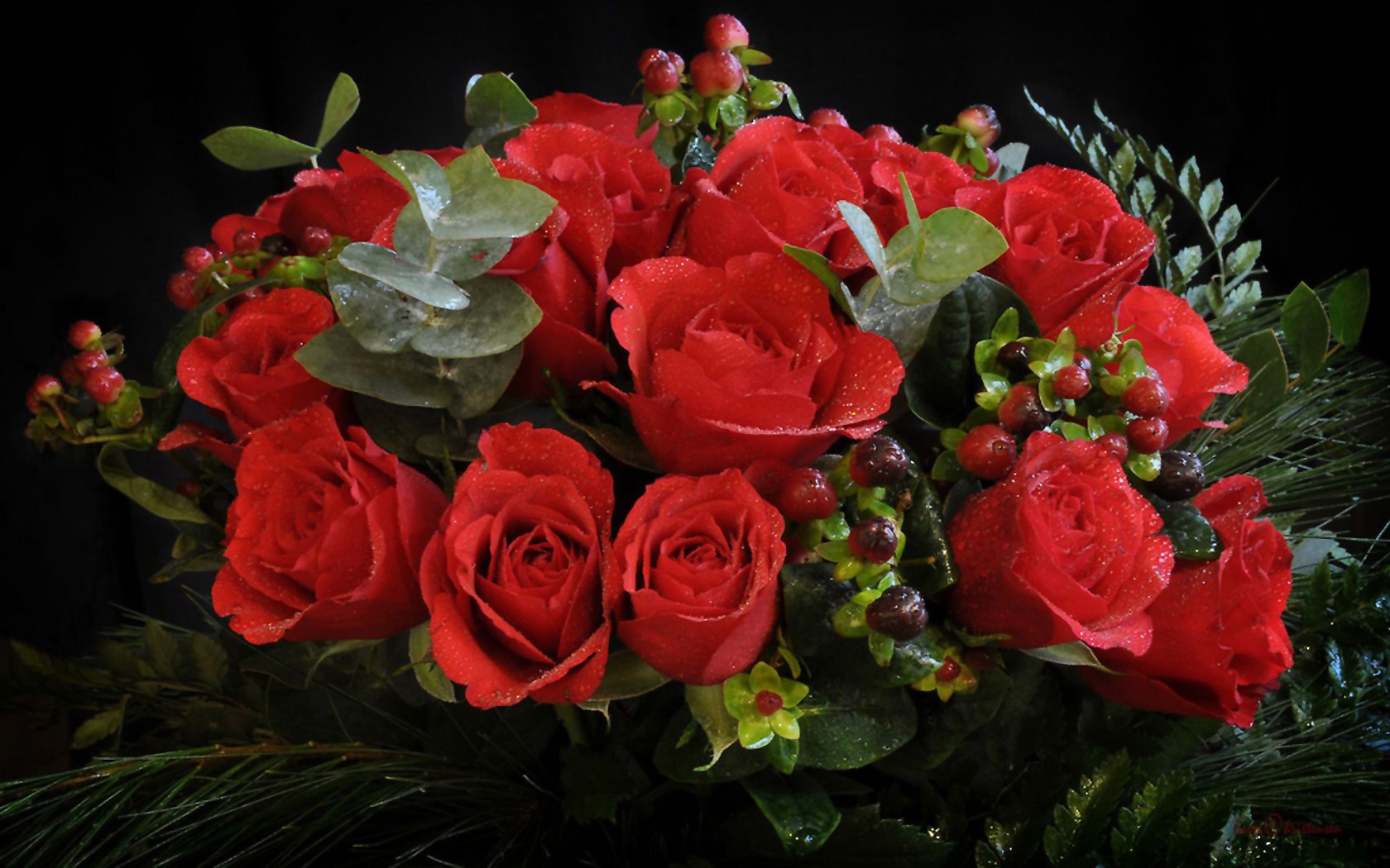flowers-red-roses-love-beautiful-leaves-gift-berries-wallpapers-desktop-3d.jpg