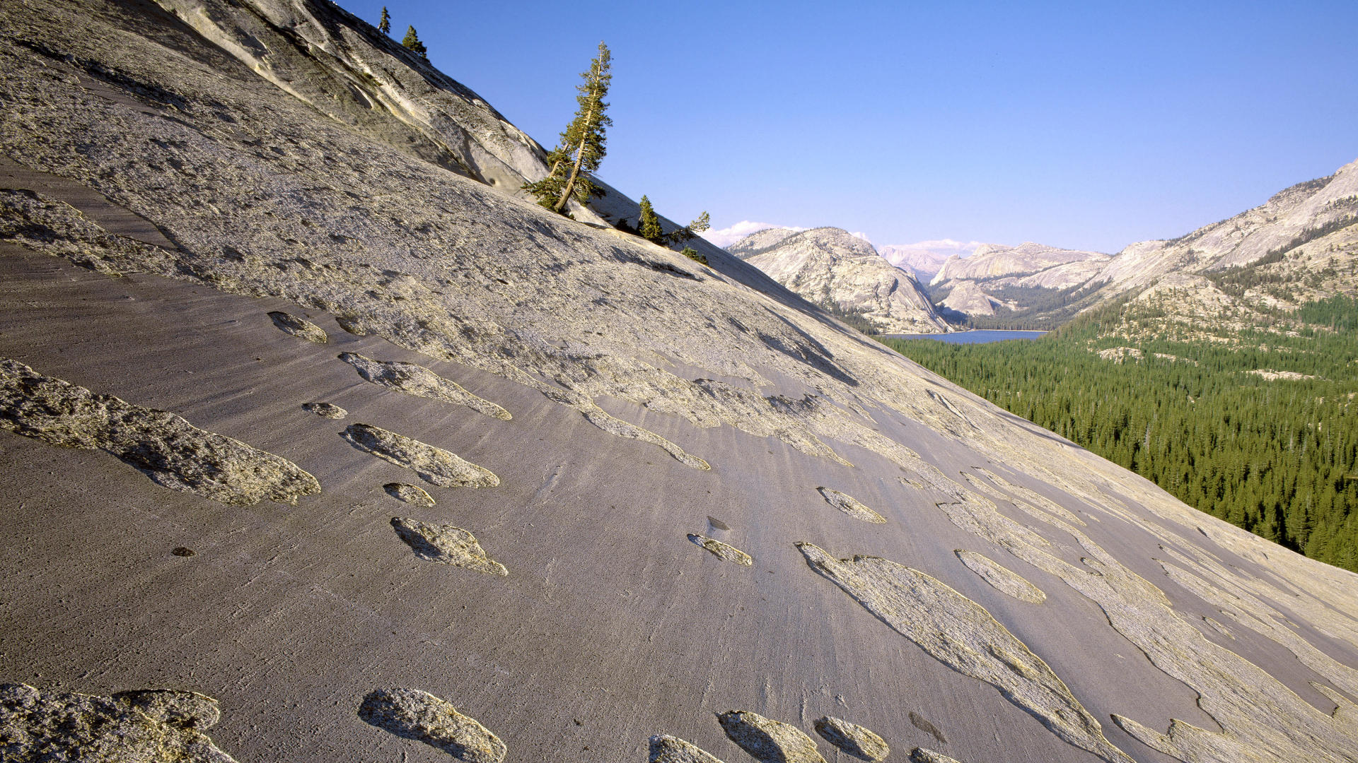 Glaciated-Slopes-Yosemite-California.jpg