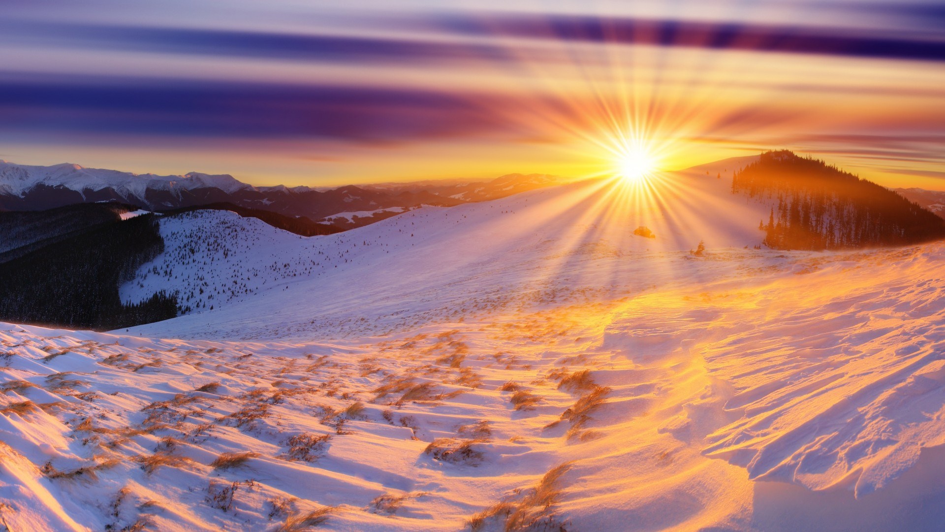 glorious-sunrise-in-winter-hd-wallpaper-519769.jpg