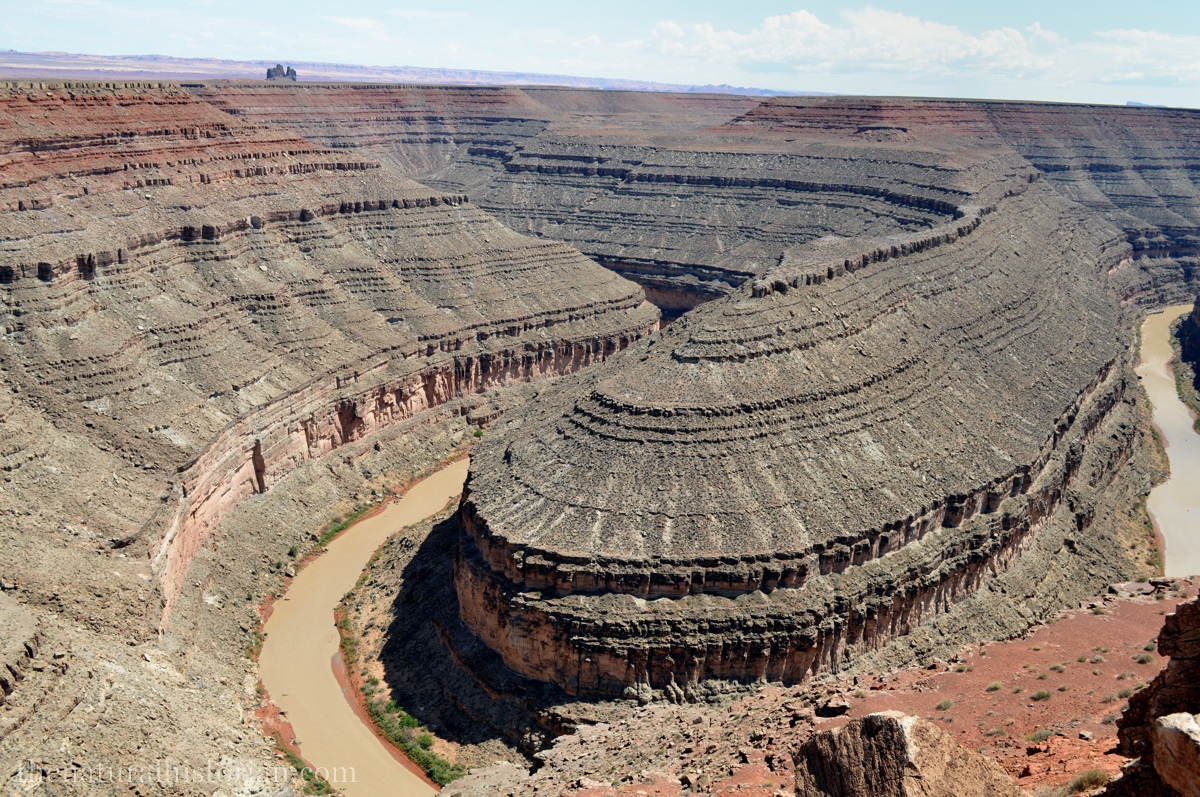 goosenecks-san-juan-utah1200px.jpg